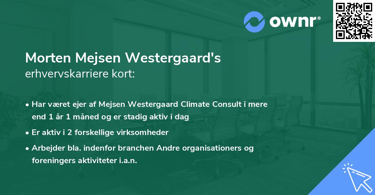 Morten Mejsen Westergaard's erhvervskarriere kort