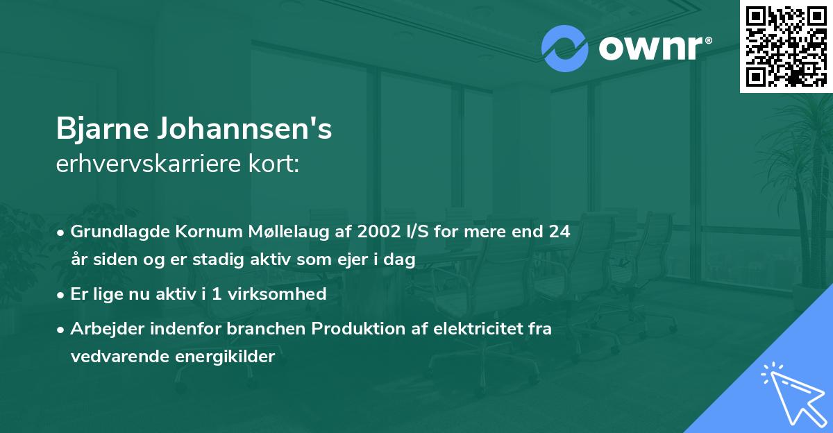Bjarne Johannsen's erhvervskarriere kort