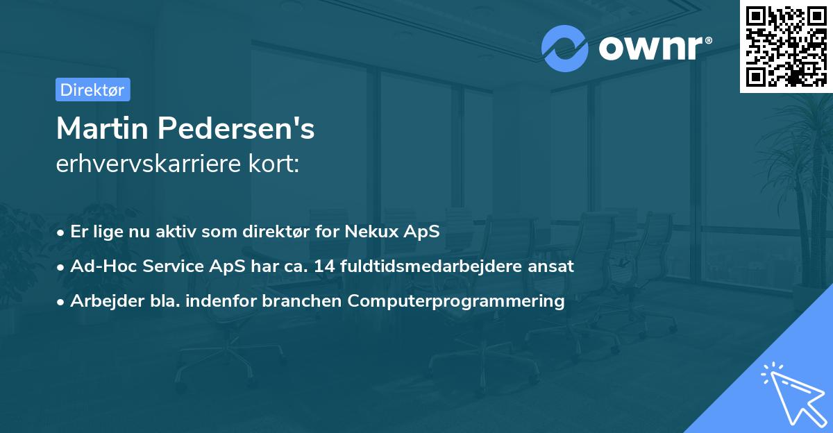 Martin Pedersen's erhvervskarriere kort