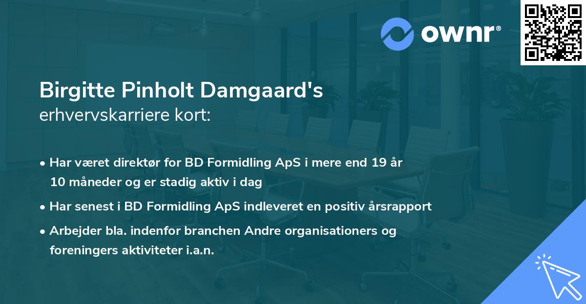Birgitte Pinholt Damgaard's erhvervskarriere kort