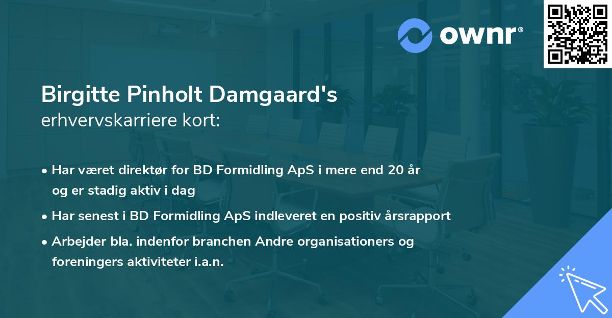 Birgitte Pinholt Damgaard's erhvervskarriere kort