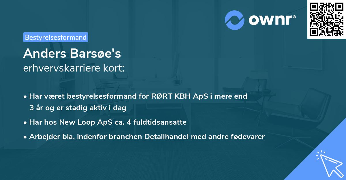 Anders Barsøe's erhvervskarriere kort