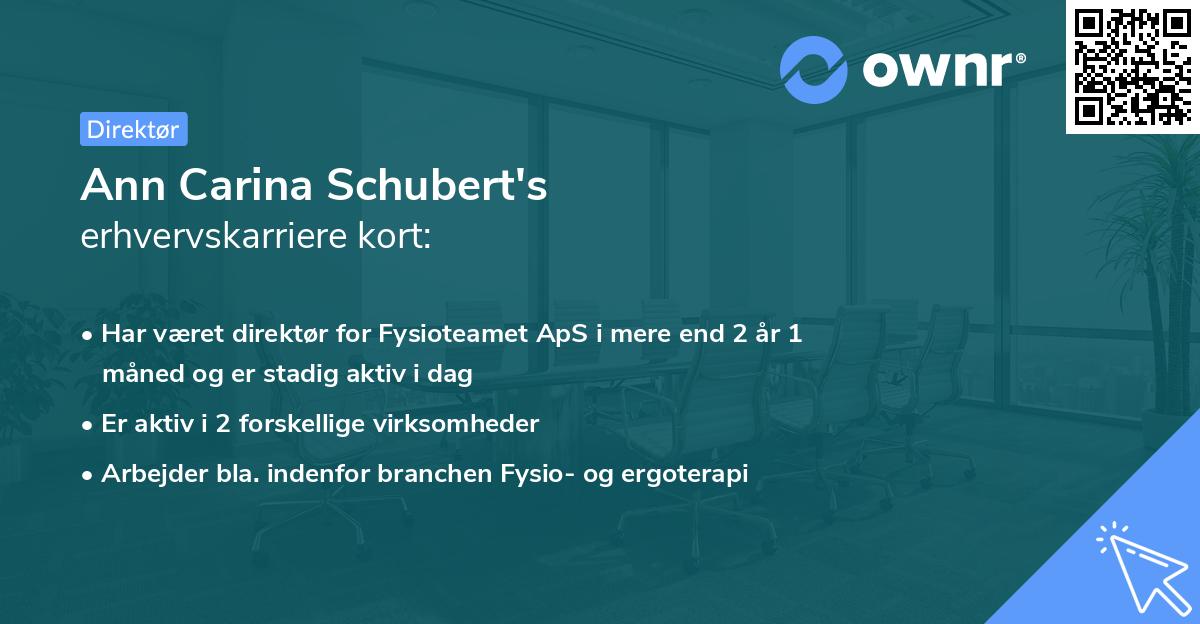 Ann Carina Schubert's erhvervskarriere kort