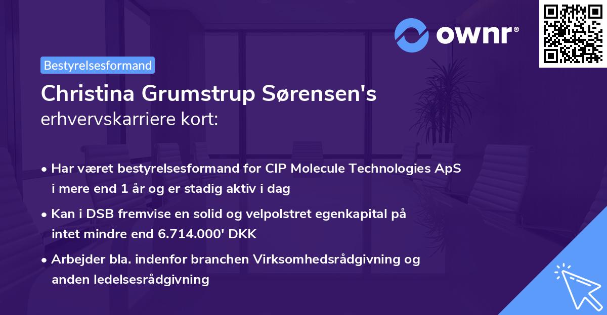 Christina Grumstrup Sørensen's erhvervskarriere kort
