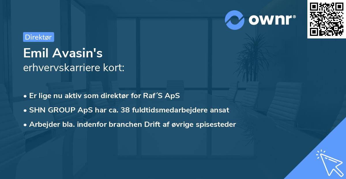 Emil Avasin's erhvervskarriere kort