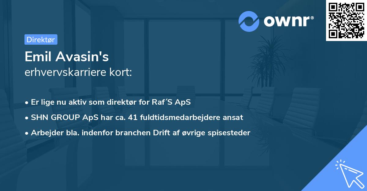 Emil Avasin's erhvervskarriere kort