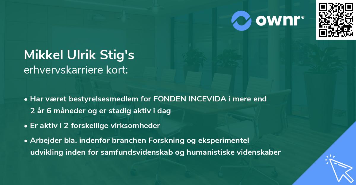 Mikkel Ulrik Stig's erhvervskarriere kort