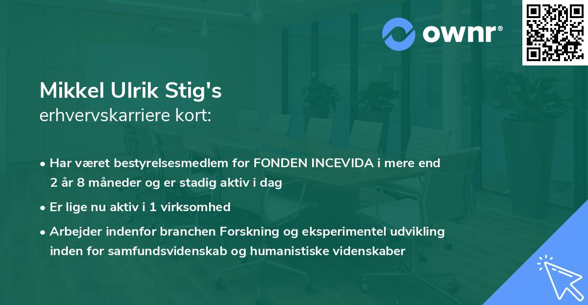 Mikkel Ulrik Stig's erhvervskarriere kort