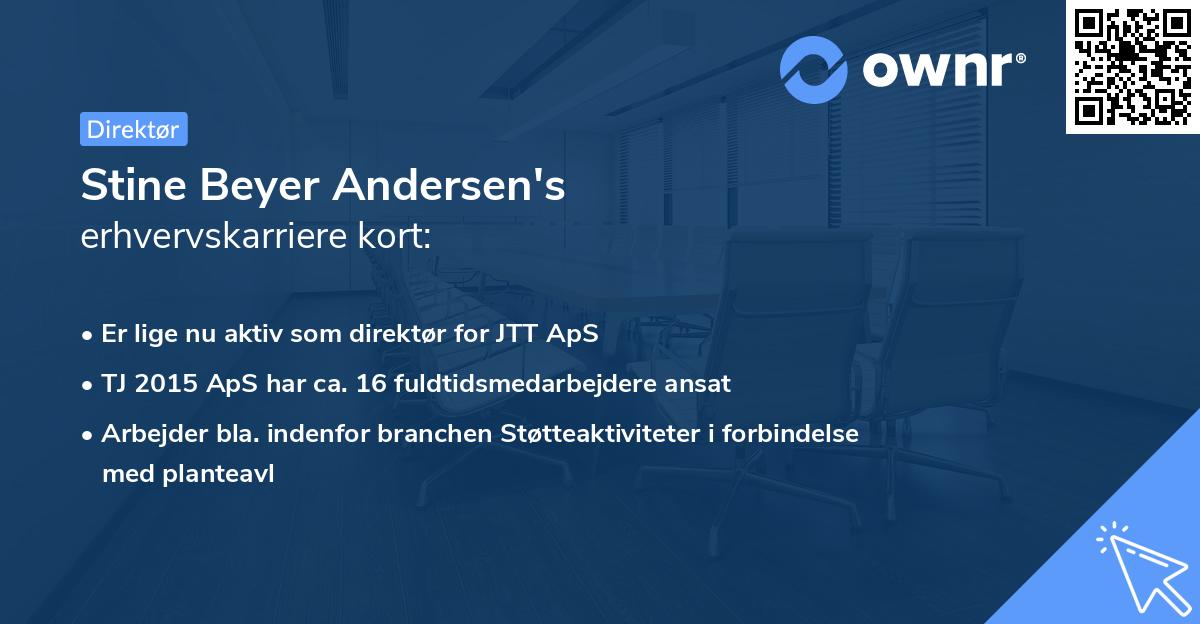 Stine Beyer Andersen's erhvervskarriere kort