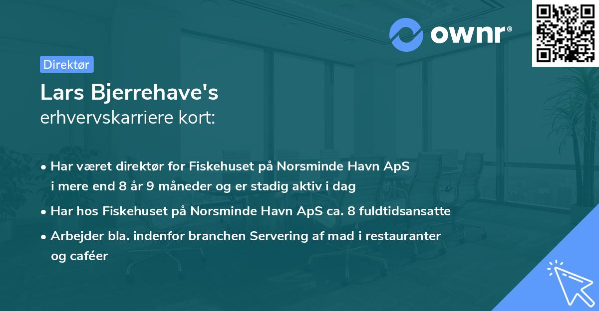 Lars Bjerrehave's erhvervskarriere kort