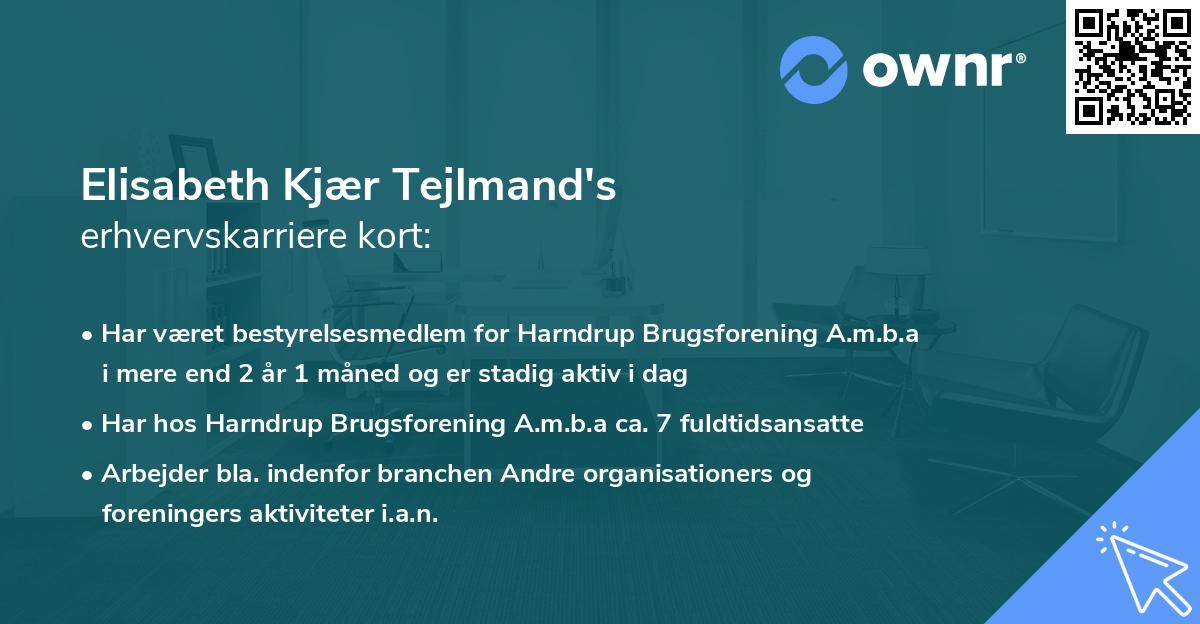 Elisabeth Kjær Tejlmand's erhvervskarriere kort