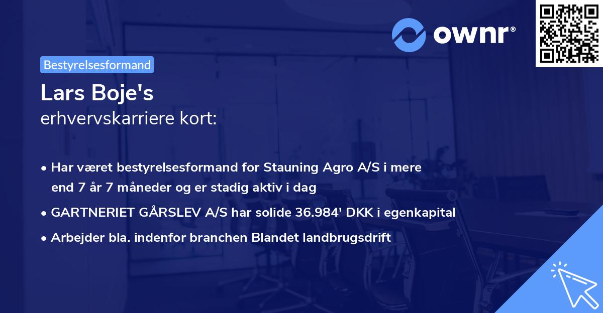 Lars Boje's erhvervskarriere kort