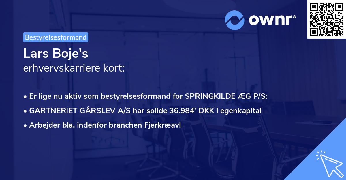 Lars Boje's erhvervskarriere kort