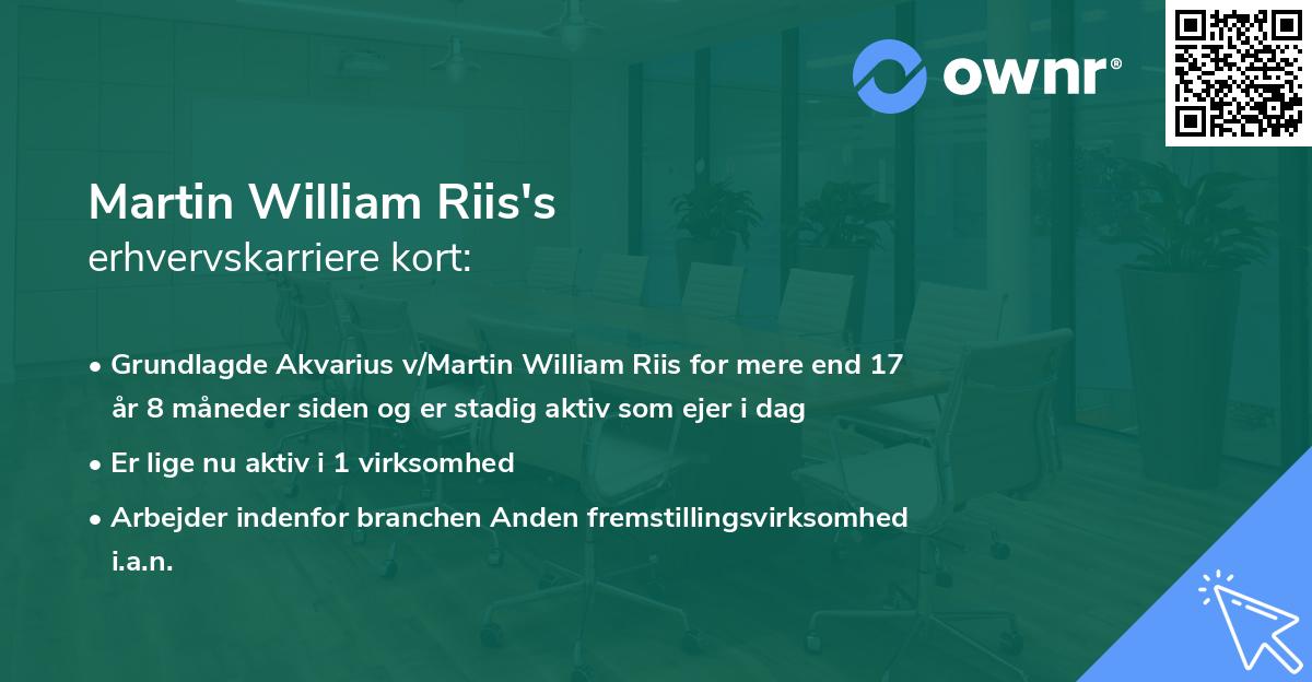 Martin William Riis's erhvervskarriere kort