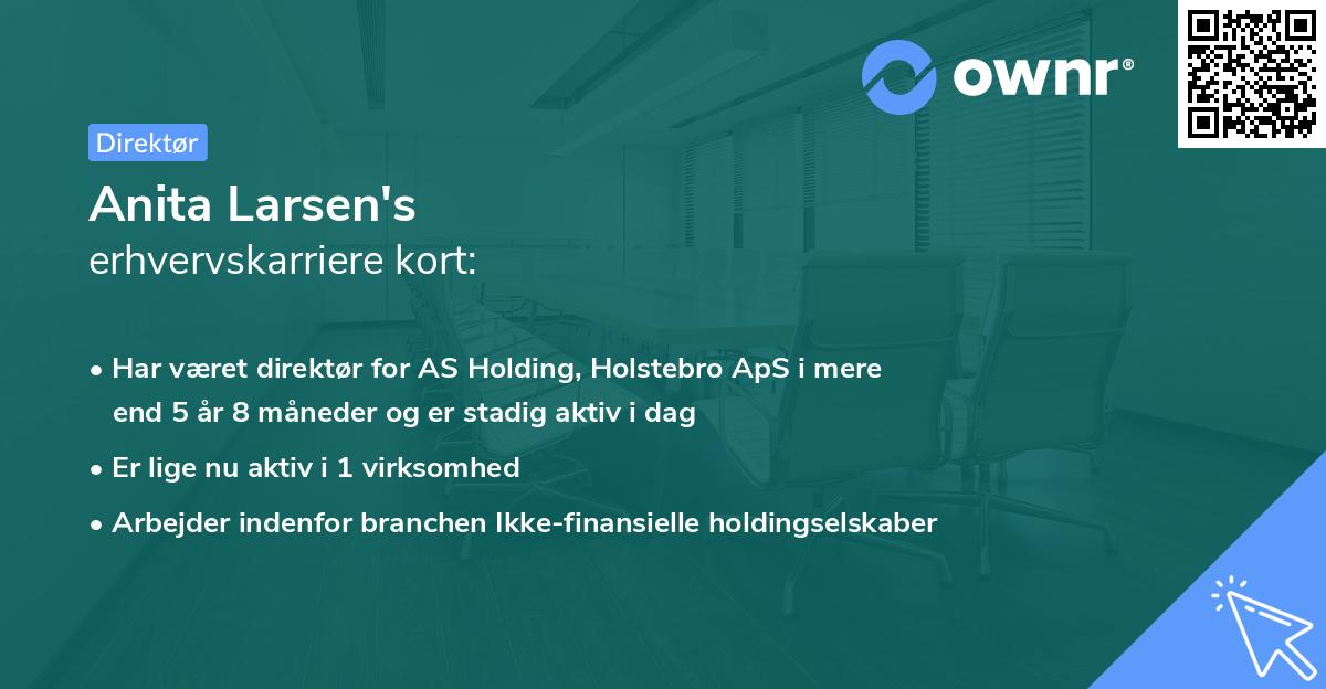 Anita Larsen's erhvervskarriere kort