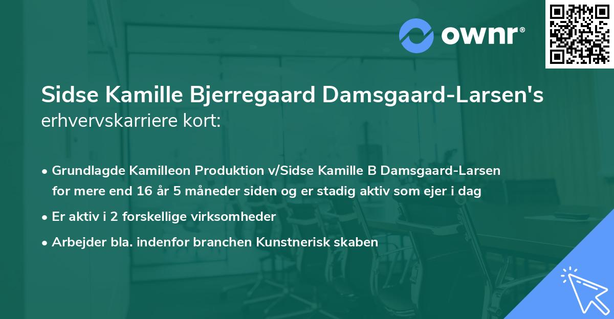 Sidse Kamille Bjerregaard Damsgaard-Larsen's erhvervskarriere kort