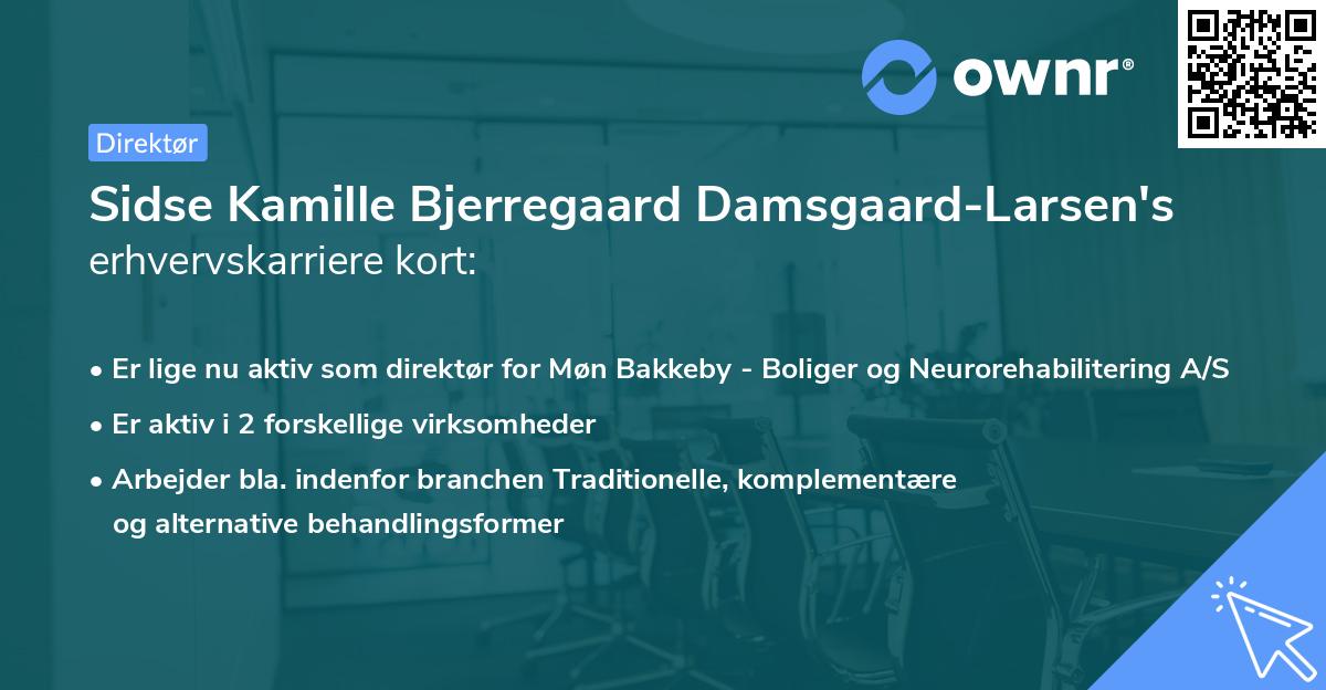 Sidse Kamille Bjerregaard Damsgaard-Larsen's erhvervskarriere kort