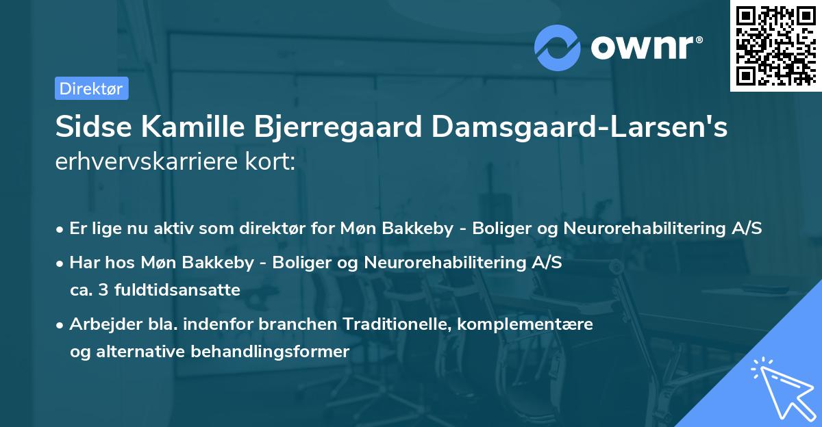 Sidse Kamille Bjerregaard Damsgaard-Larsen's erhvervskarriere kort