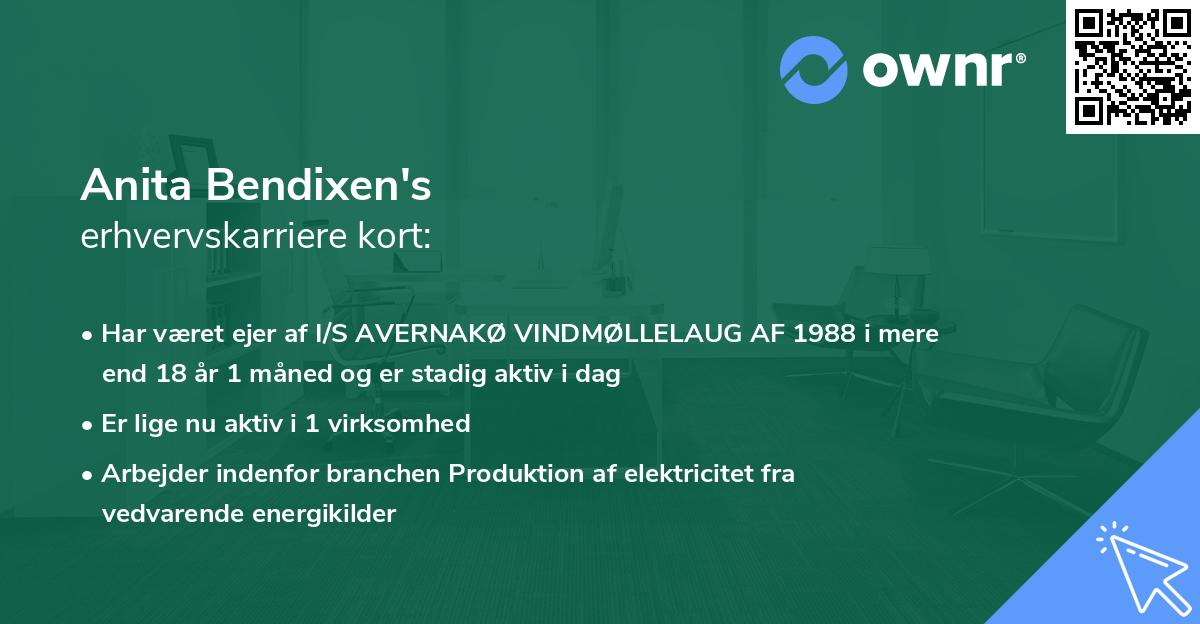 Anita Bendixen's erhvervskarriere kort