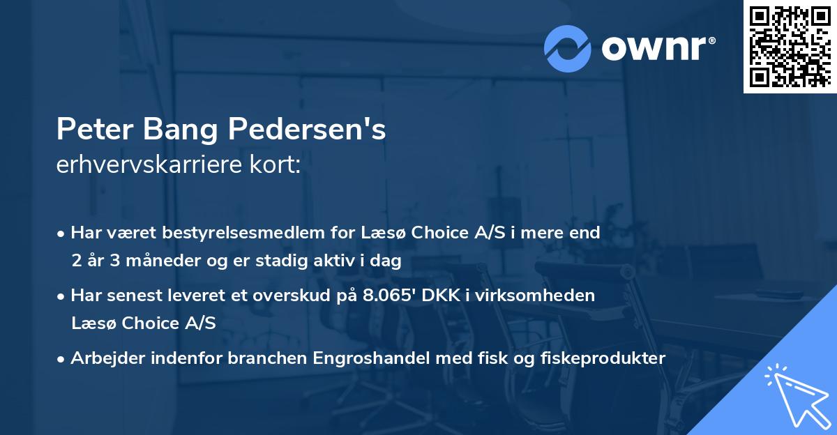 Peter Bang Pedersen's erhvervskarriere kort