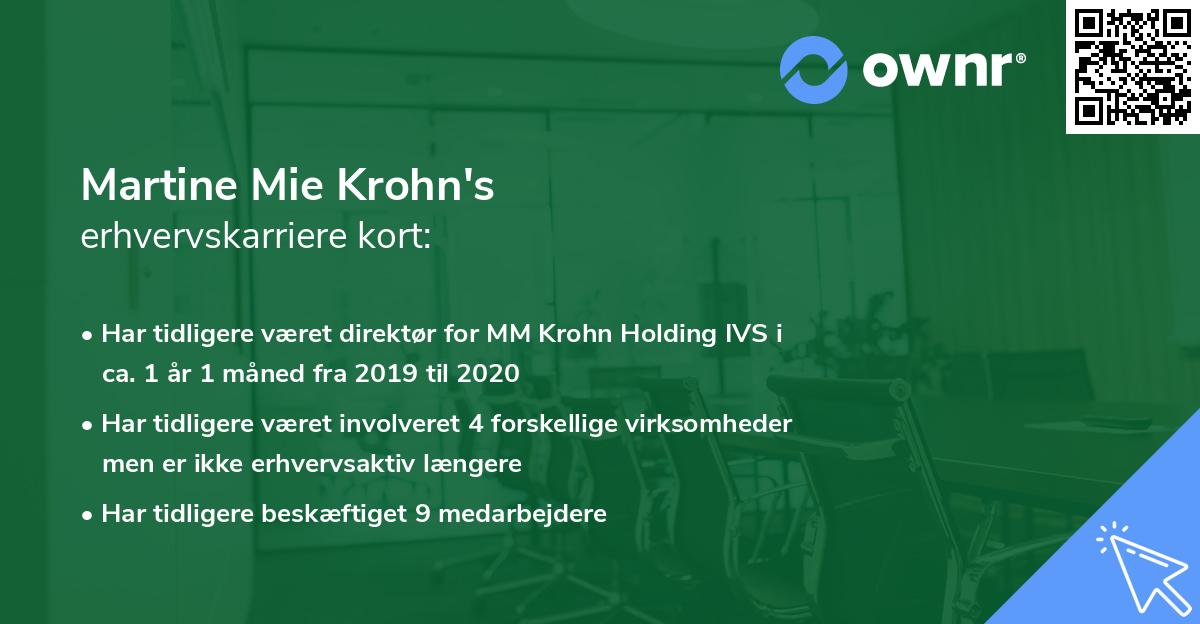 Martine Mie Krohn's erhvervskarriere kort
