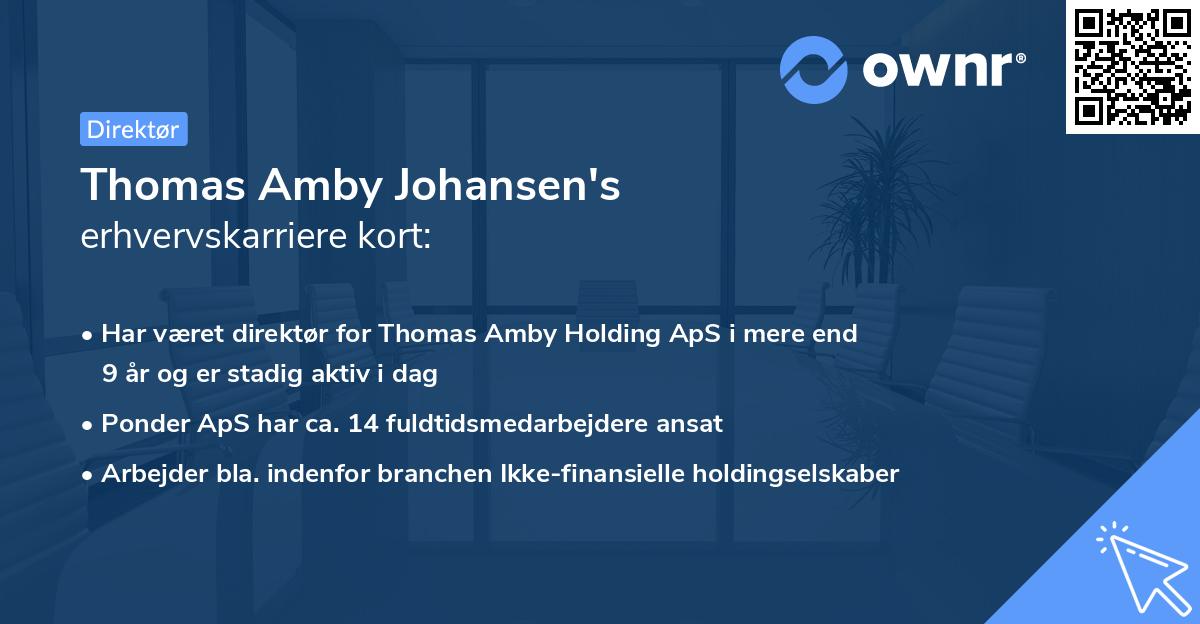 Thomas Amby Johansen's erhvervskarriere kort