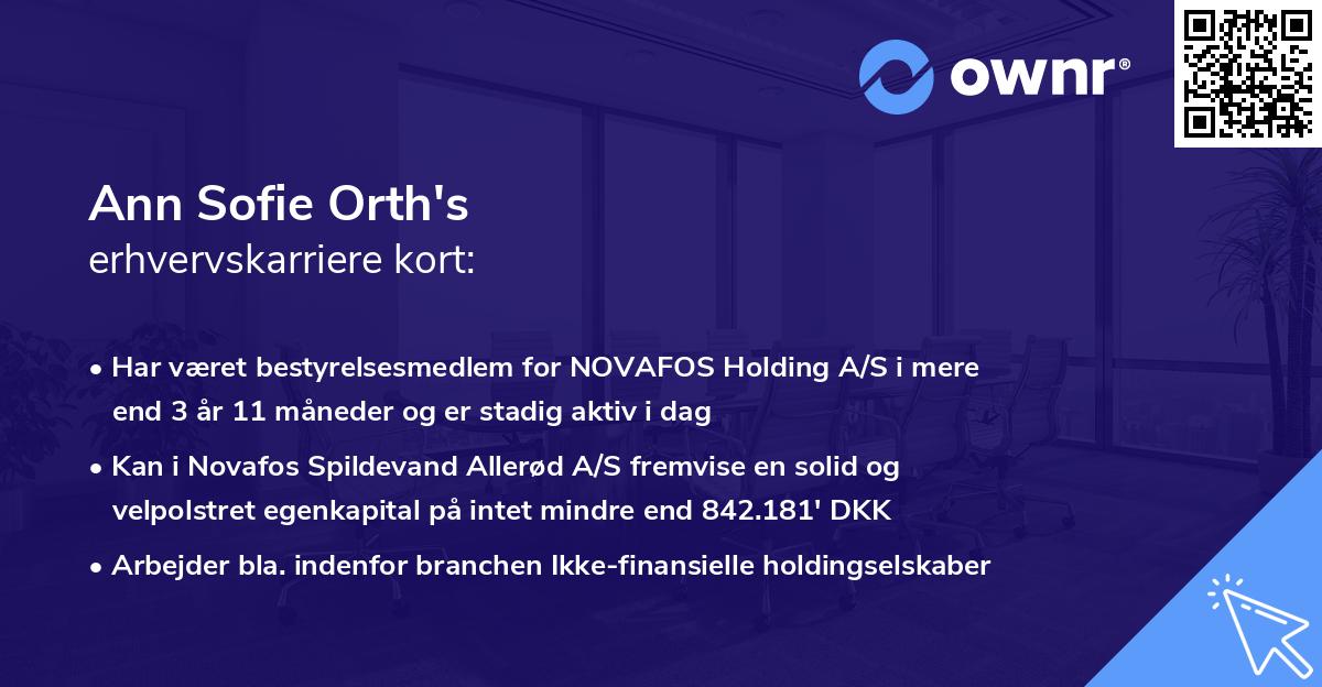 Ann Sofie Orth's erhvervskarriere kort