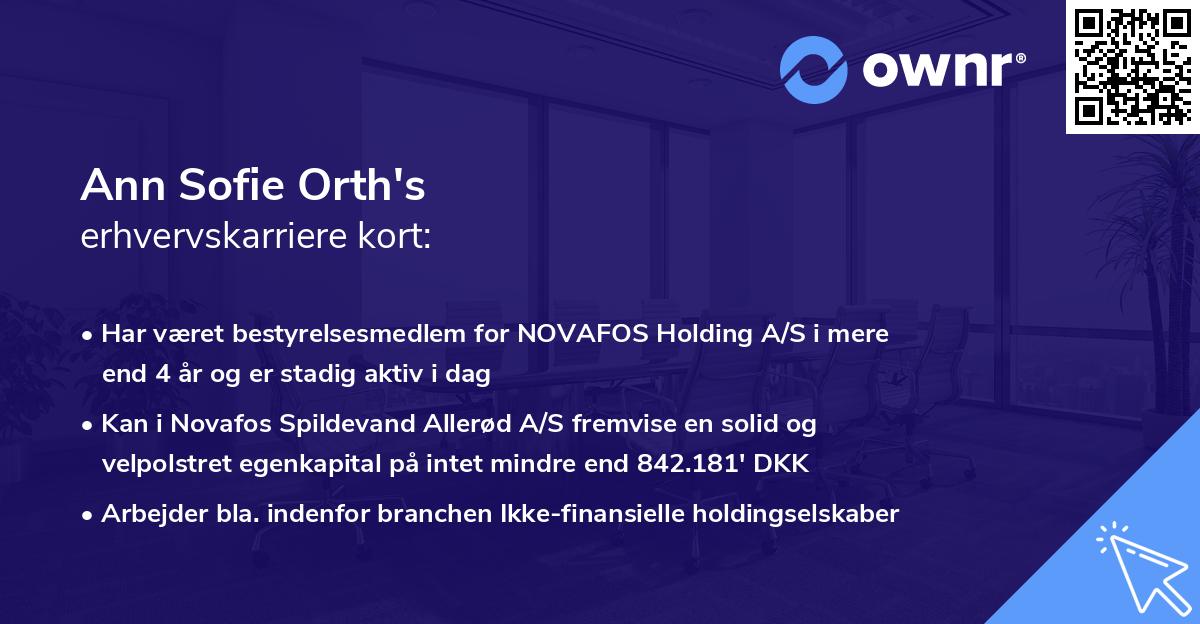 Ann Sofie Orth's erhvervskarriere kort