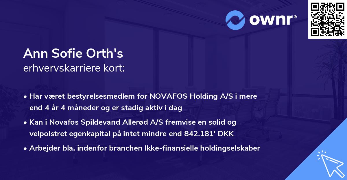 Ann Sofie Orth's erhvervskarriere kort