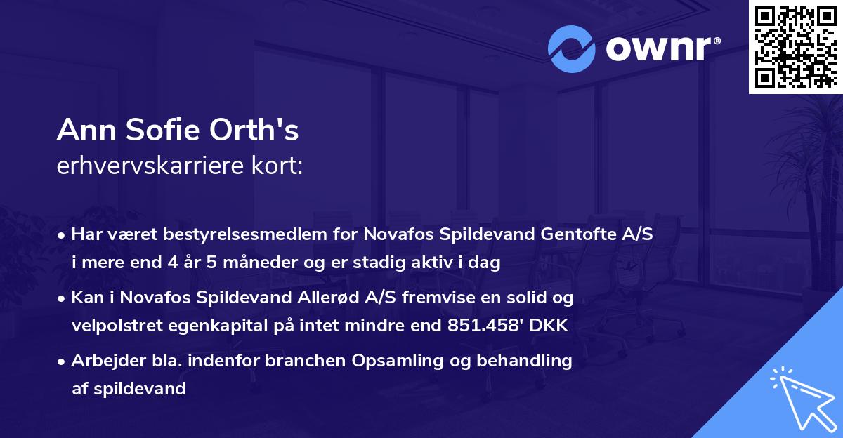 Ann Sofie Orth's erhvervskarriere kort