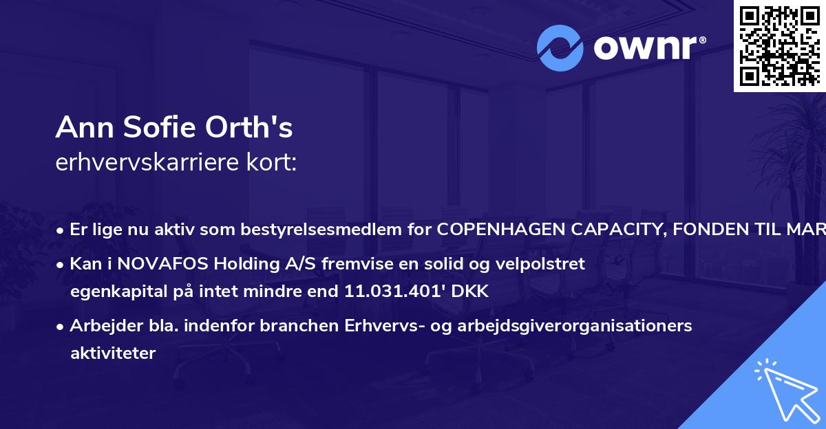 Ann Sofie Orth's erhvervskarriere kort