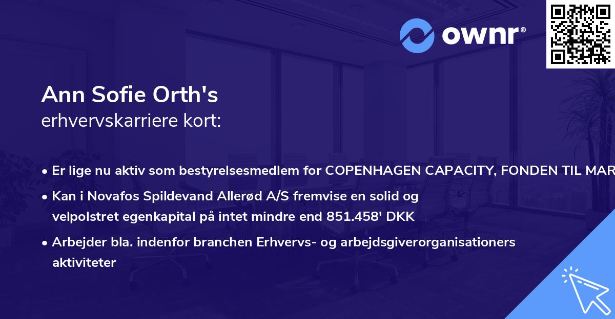 Ann Sofie Orth's erhvervskarriere kort