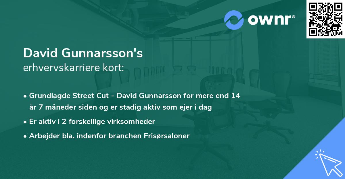 David Gunnarsson's erhvervskarriere kort