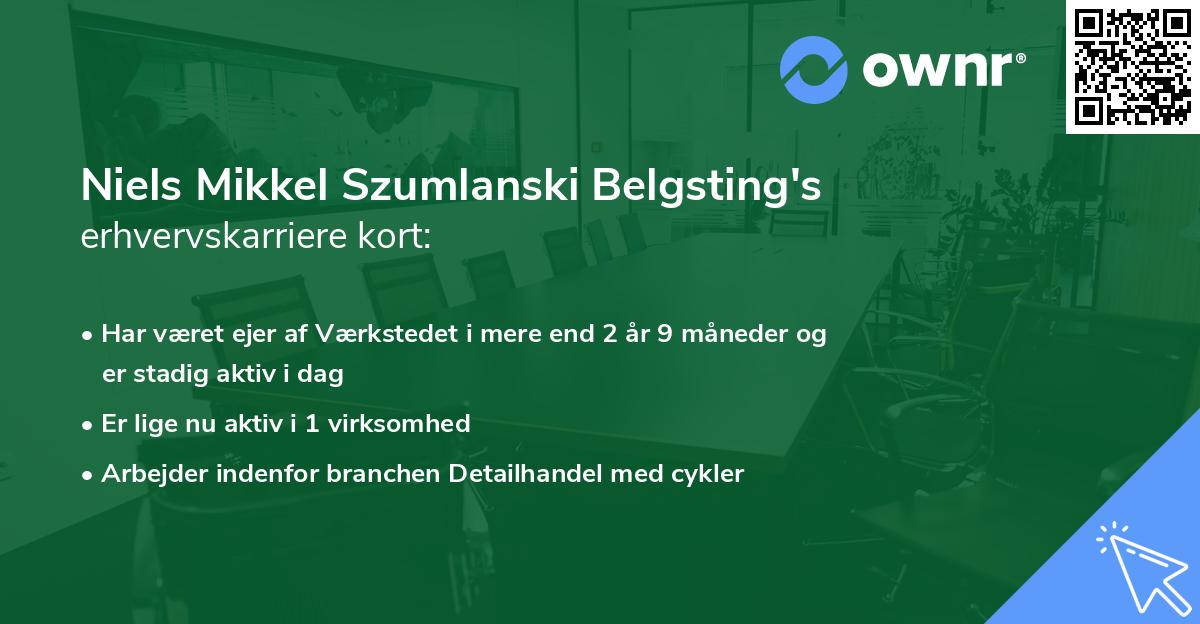 Niels Mikkel Szumlanski Belgsting's erhvervskarriere kort