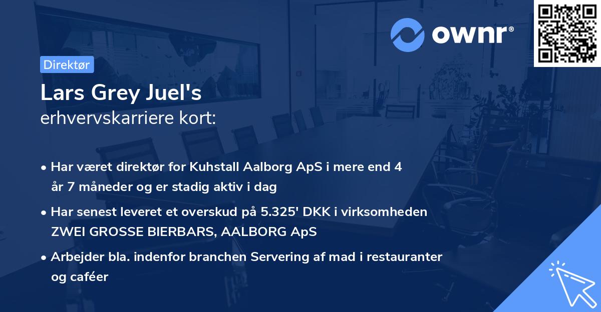 Lars Grey Juel's erhvervskarriere kort