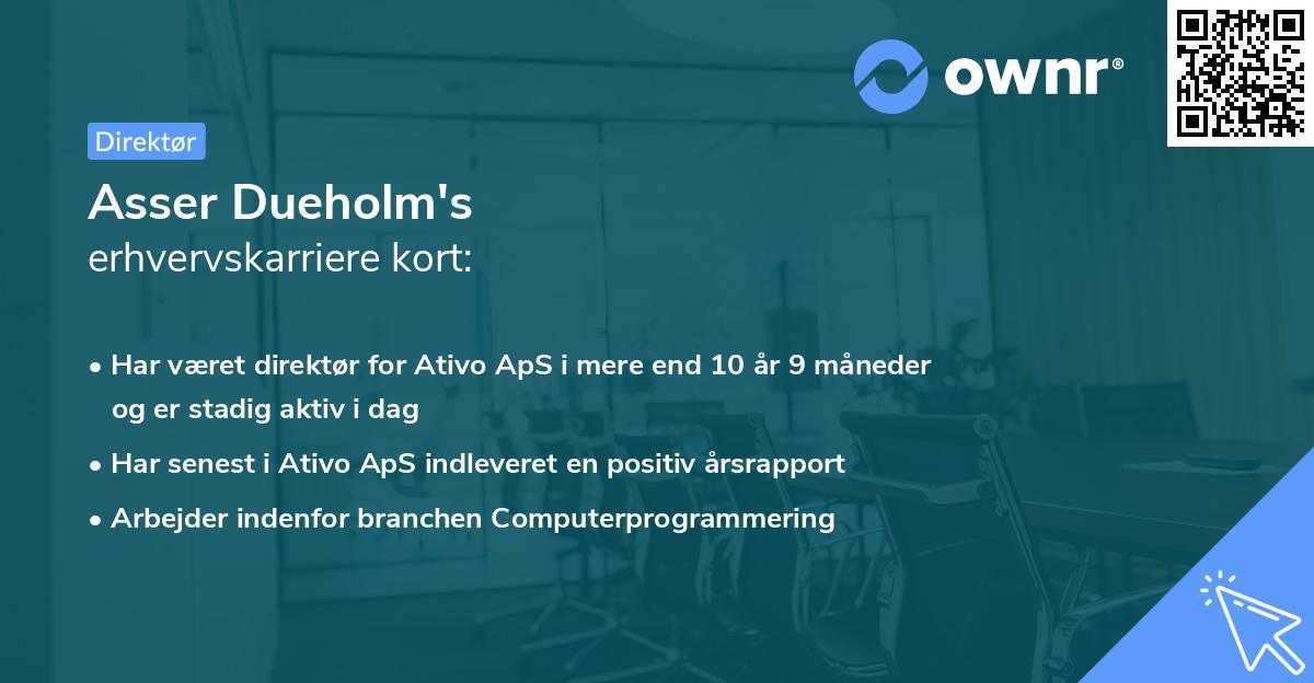 Asser Dueholm's erhvervskarriere kort