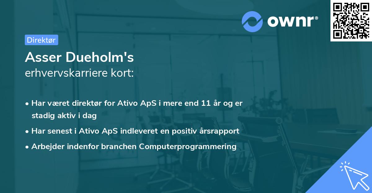 Asser Dueholm's erhvervskarriere kort