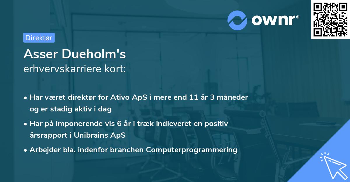 Asser Dueholm's erhvervskarriere kort