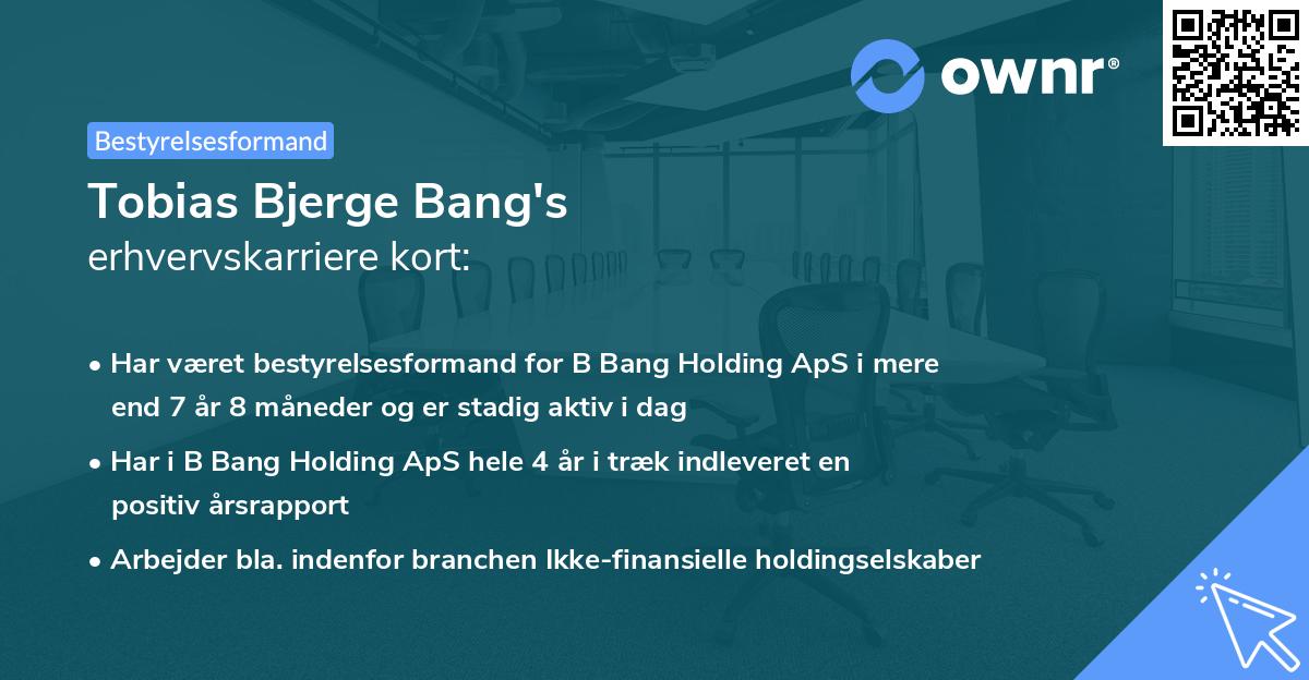 Tobias Bjerge Bang's erhvervskarriere kort