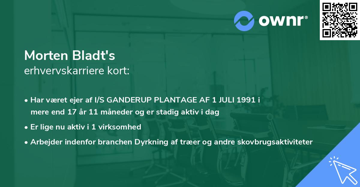 Morten Bladt's erhvervskarriere kort