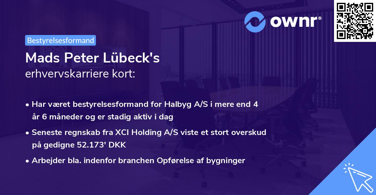 Mads Peter Lübeck's erhvervskarriere kort
