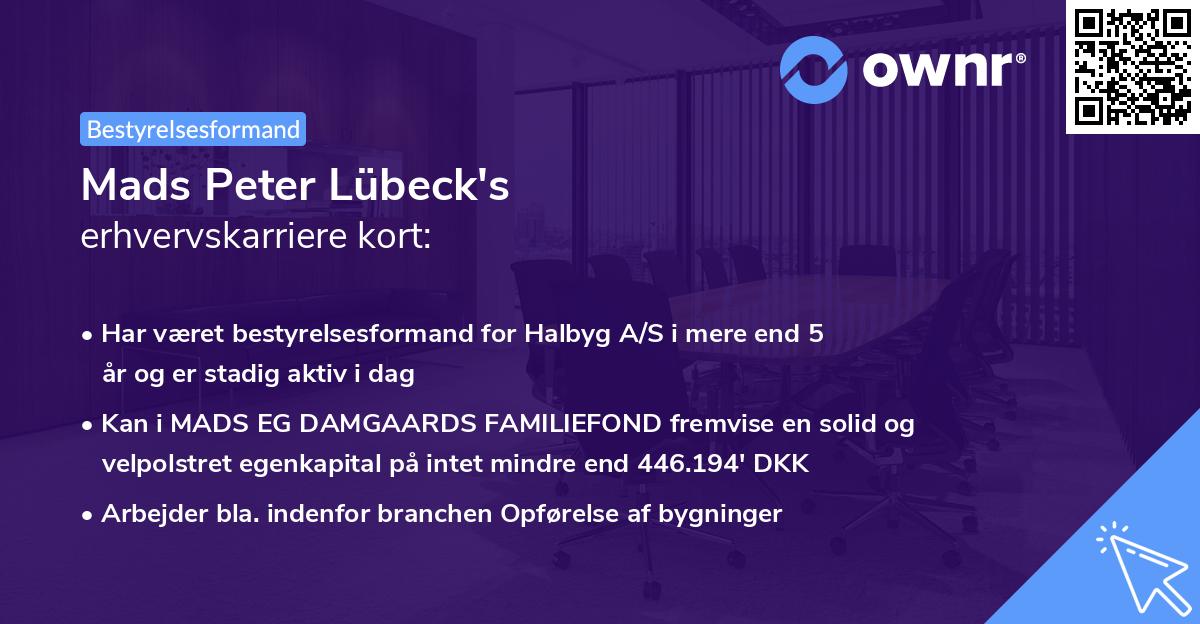 Mads Peter Lübeck's erhvervskarriere kort