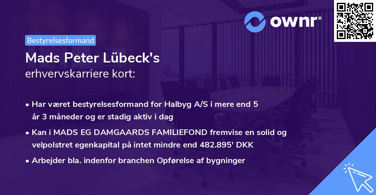 Mads Peter Lübeck's erhvervskarriere kort