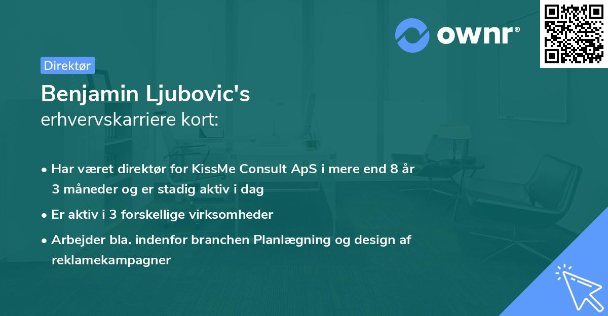 Benjamin Ljubovic's erhvervskarriere kort