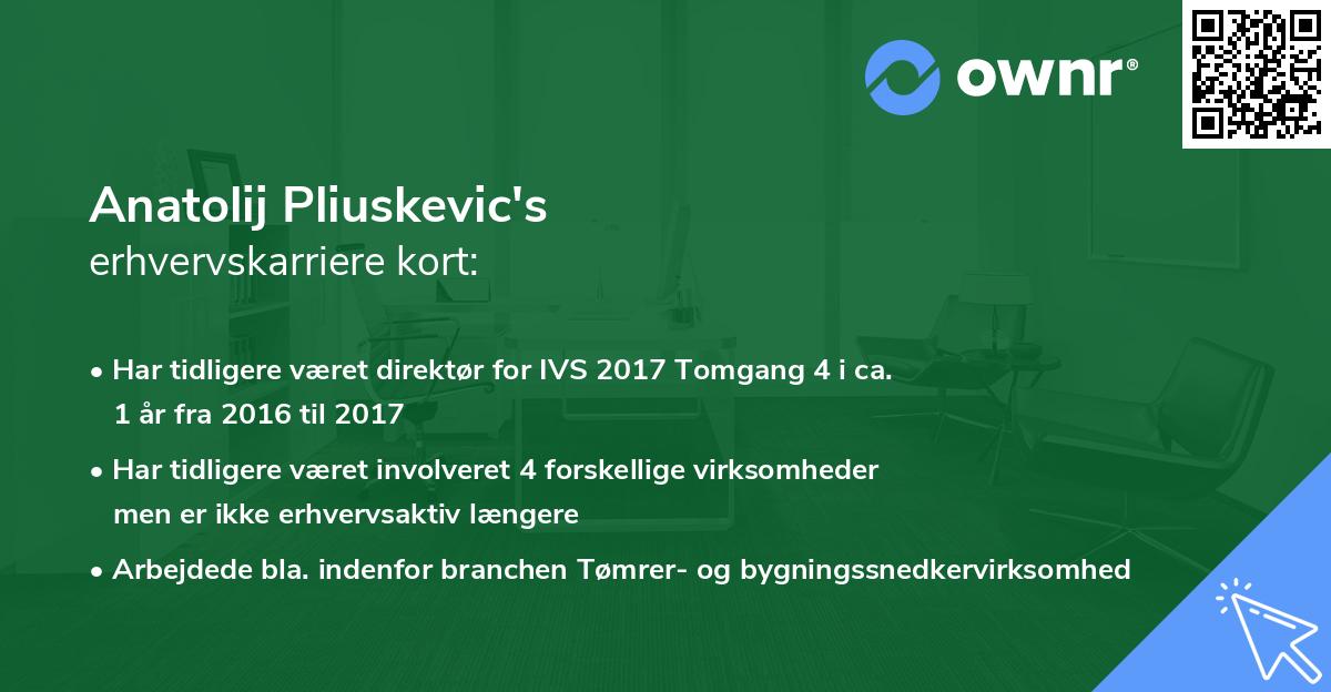 Anatolij Pliuskevic's erhvervskarriere kort
