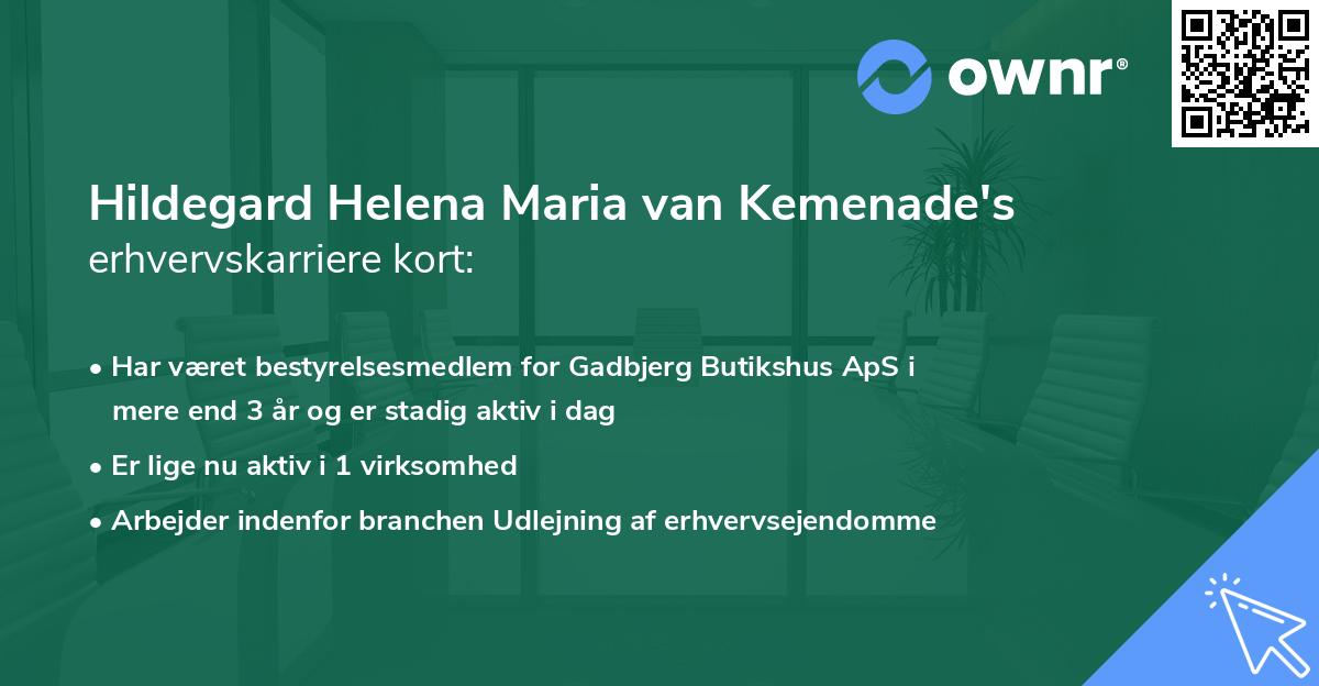 Hildegard Helena Maria van Kemenade's erhvervskarriere kort