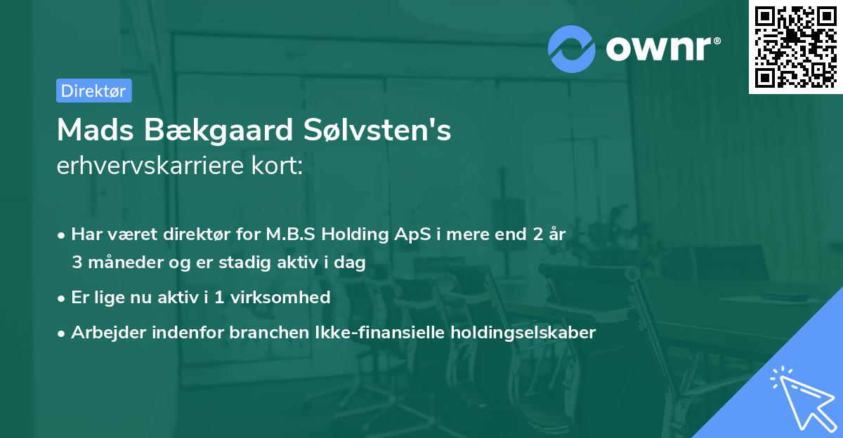 Mads Bækgaard Sølvsten's erhvervskarriere kort