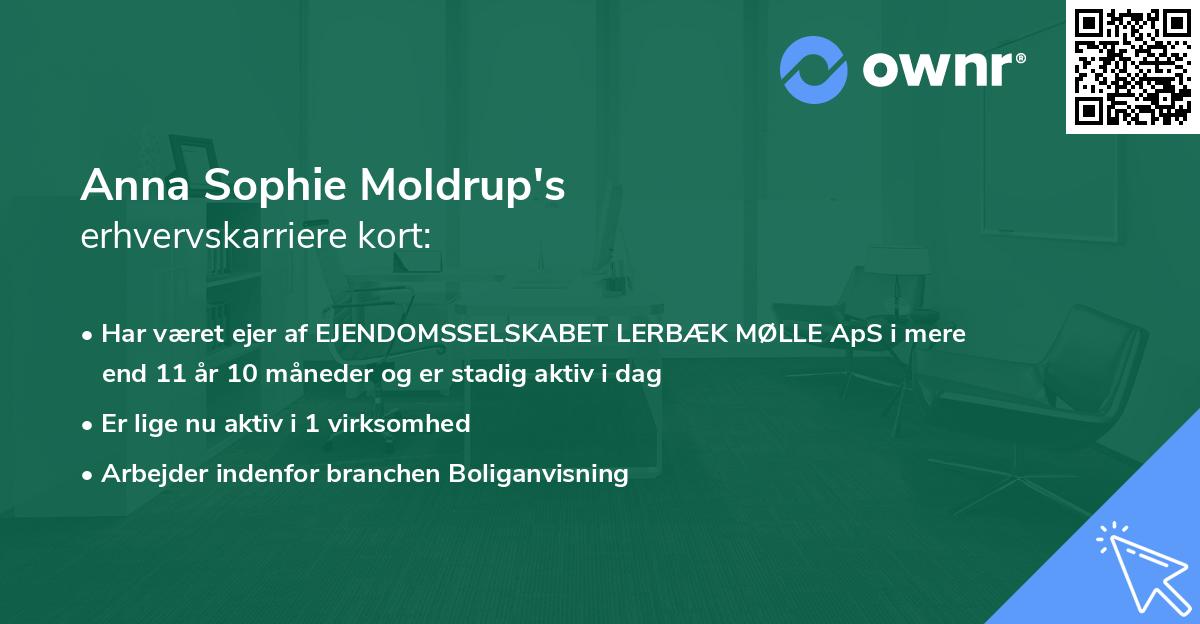Anna Sophie Moldrup's erhvervskarriere kort