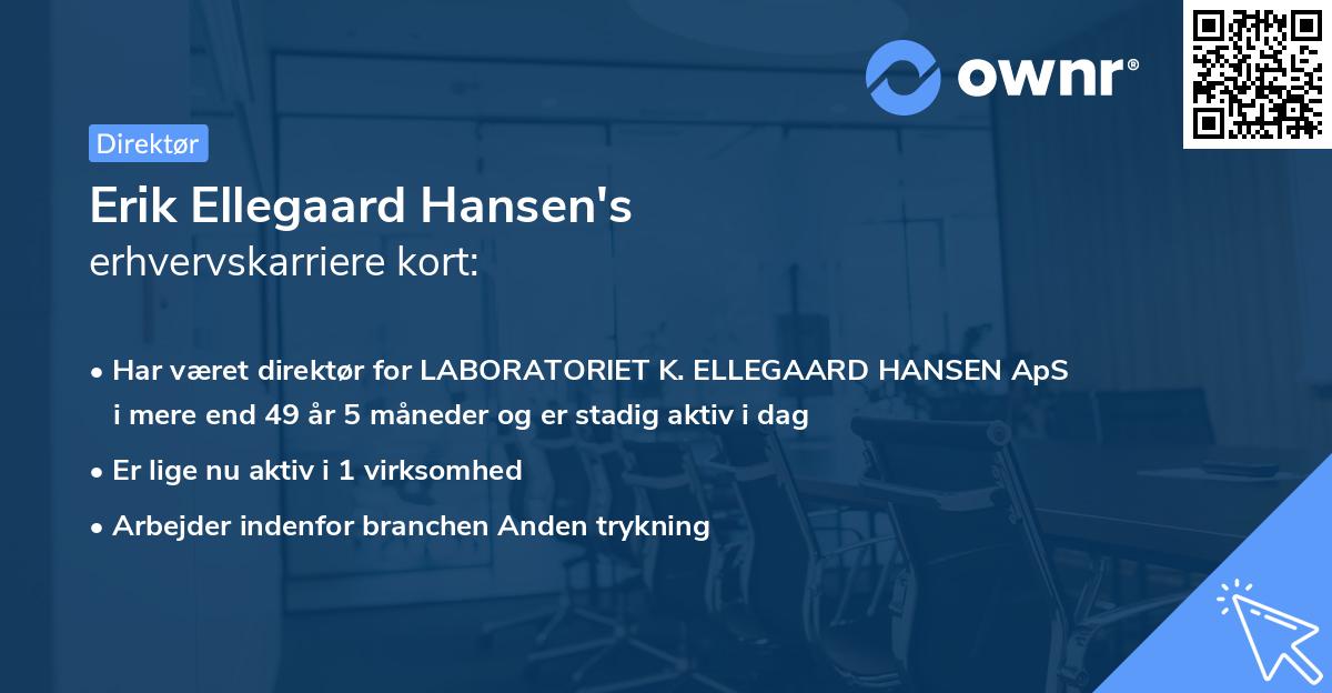 Erik Ellegaard Hansen's erhvervskarriere kort