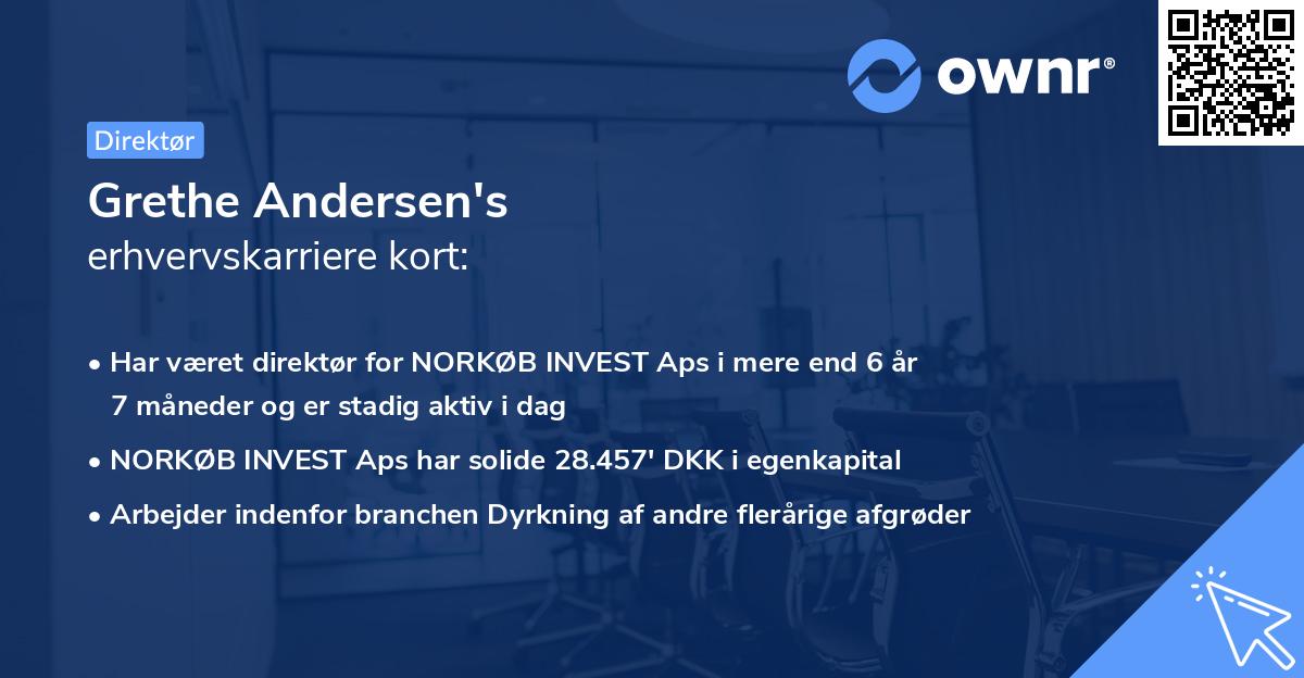 Grethe Andersen's erhvervskarriere kort